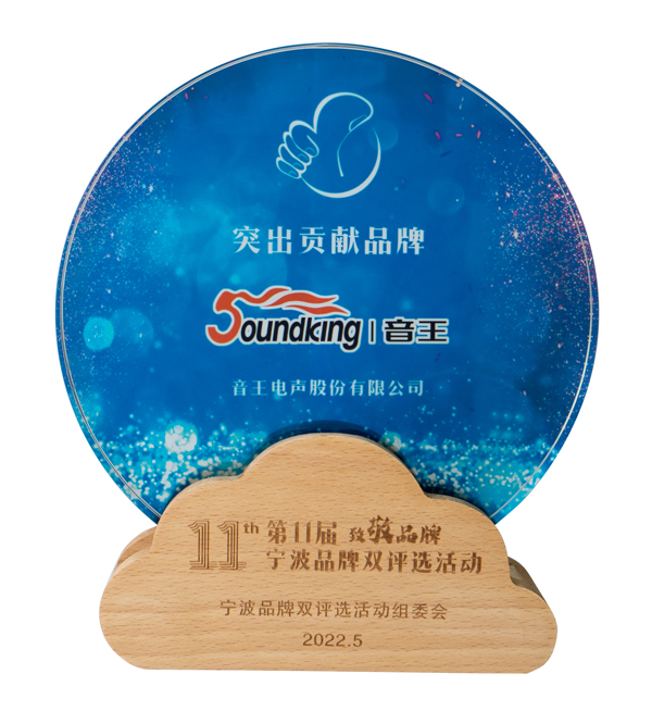 音王再次榮獲突出貢獻(xiàn)品牌董事長王祥貴被授予品牌年度功勛人物稱號