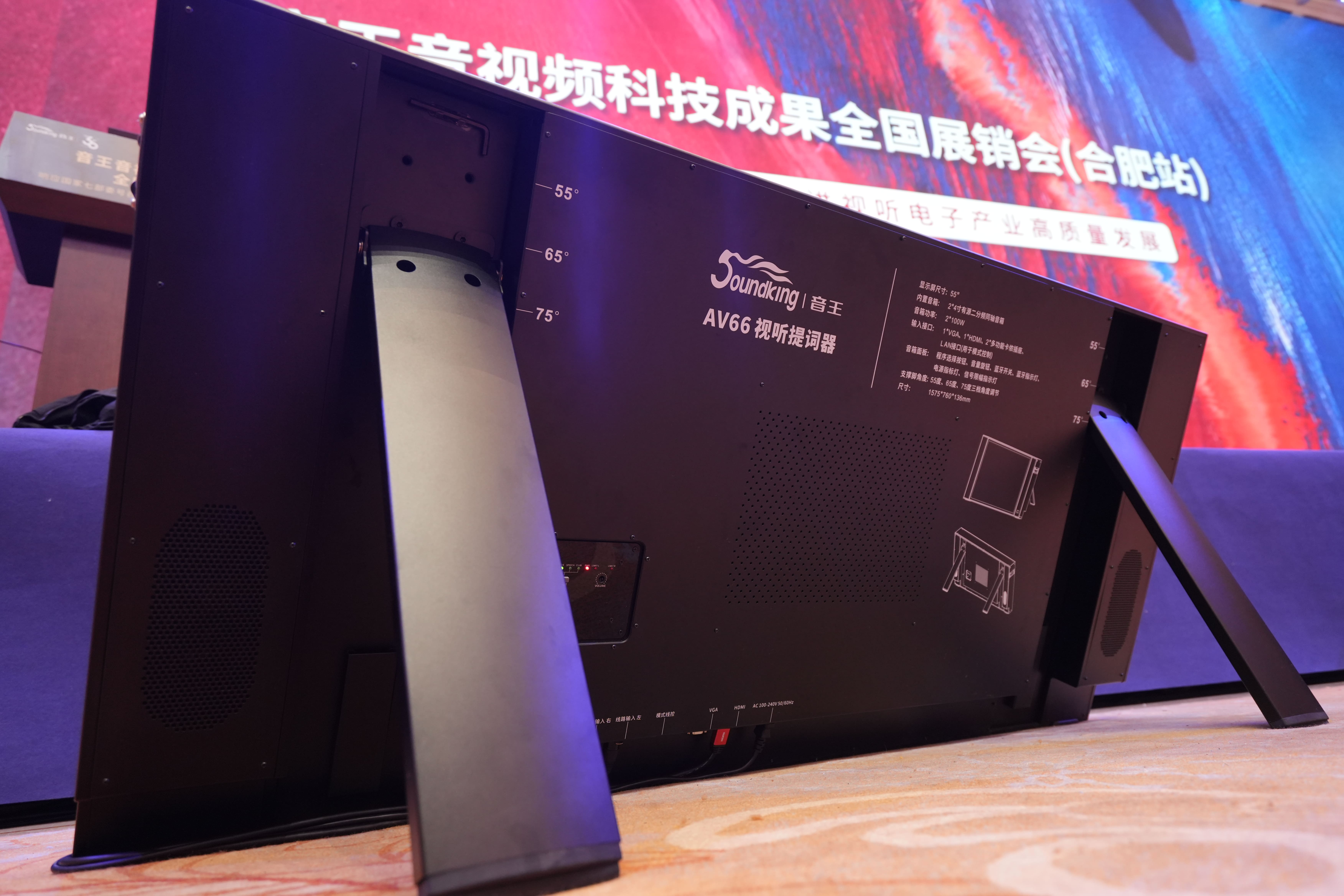 巡展直擊 | 2024音王音視頻科技成果全國展銷會(合肥站)熱浪來襲中！